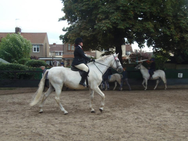 ¡Venga a subir con nosotros!